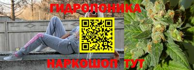 2c-b Лесосибирск