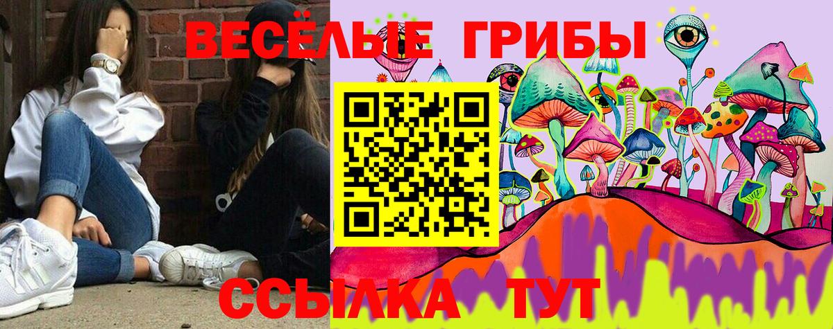 Псилоцибиновые грибы Psilocybe  Вход с VPN  Дмитров 